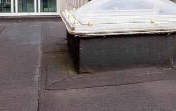 disadvantages of Etherley Dene flat roofs